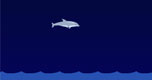 Dolphin Olympics spel