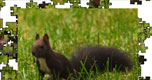 Jigsaw: Dark Squirrel spel