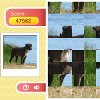 Rij puzzel - Hond spel