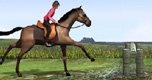 Paardenjuming spel