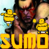 Sumo-BZ by yesgamez.com spel